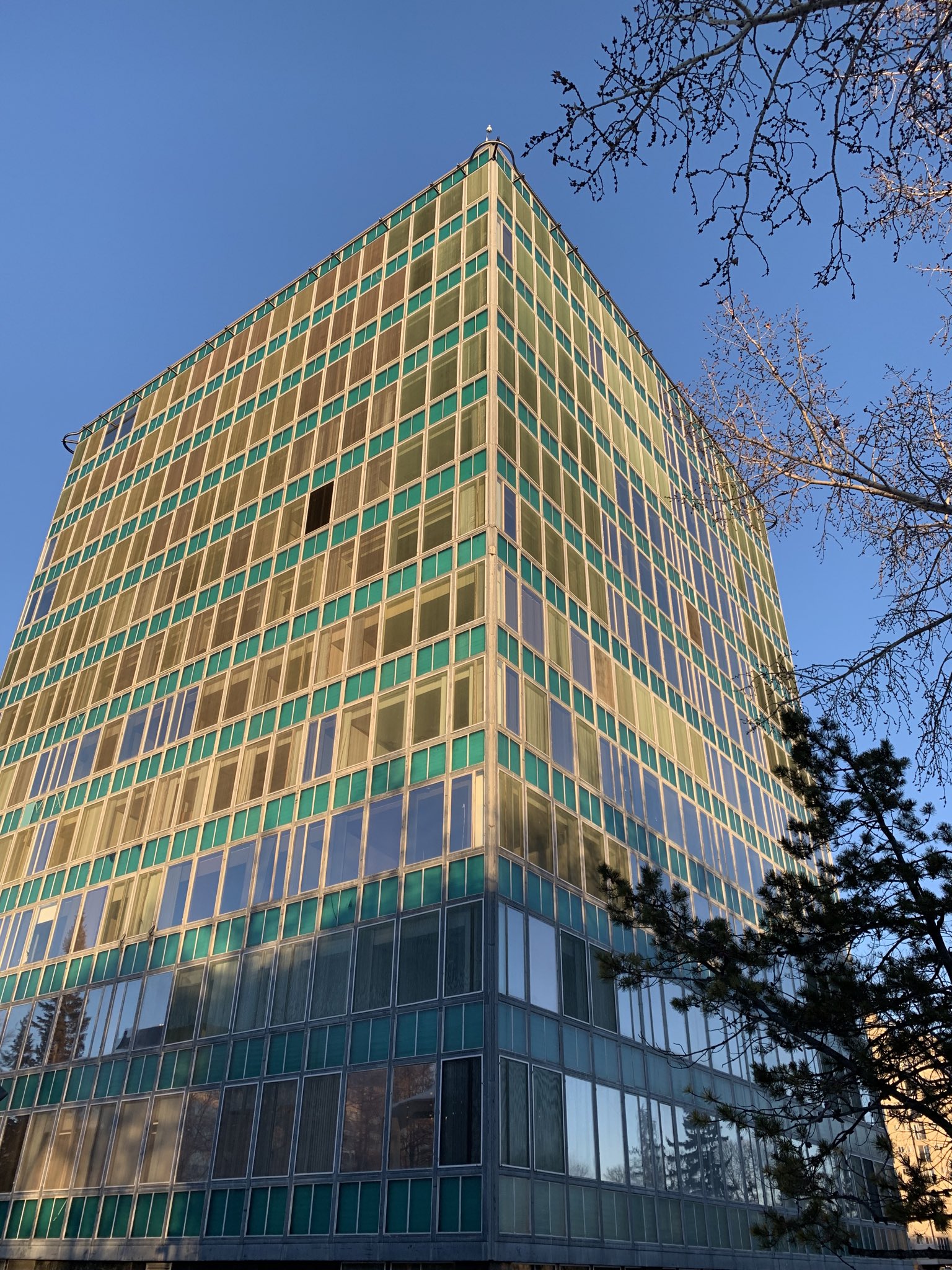 Isabel Kent Henderson She Her Ikhenderson Twitter