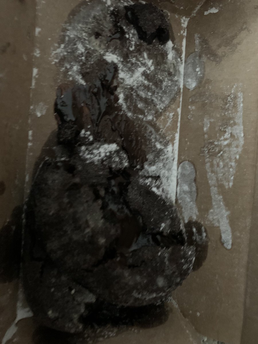 robert_memo's tweet photo. @dominos Man was i let down on thanks giving, i ordered a few pies and lava cake and a sandwich, the cake was damaged, the pizza was not fully cut and the sandwich came upside down messed up and uncut :( https://t.co/NMw2vHqq0K