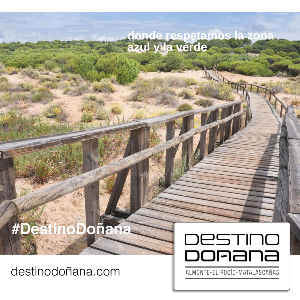 El #ParqueDunar de #Matalascañas🏖, lleno de senderos que nos asoman al Atlántico 🌾, para disfrutar de #Doñana 🐯 en todo su esplendor.

#HuelvaElevaTusSentidos #SienteHuelva #Almonte #ElRocio #DestinoDoñana