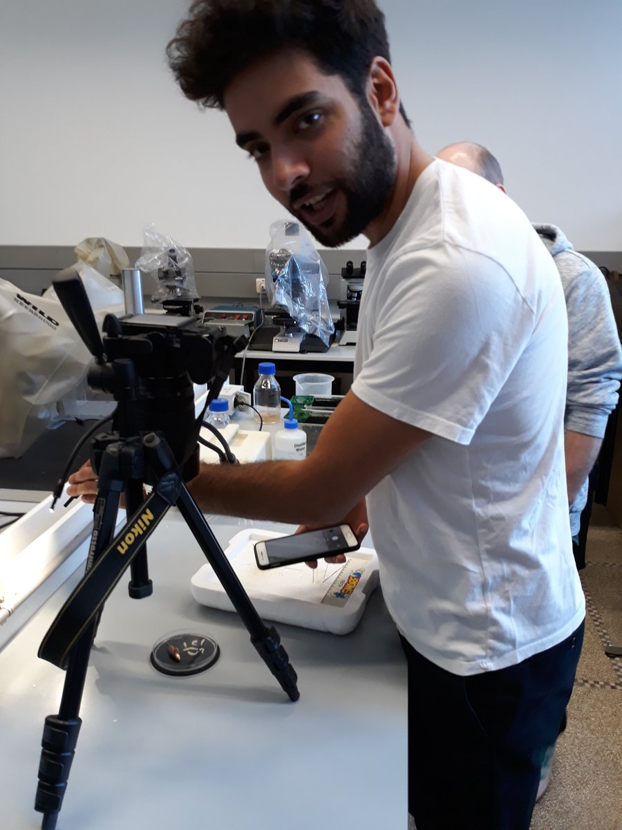 EizaguirreLab's tweet photo. There is a new Dr. out of the lab! Congratulations to Miles for his successful viva today! Thanks to Profs. Katie Peichel and Richard Nichols (@qmwugbt112). #ExPhDstudent #NewPostdoc @QMUL https://t.co/aEXmsJy1Tq