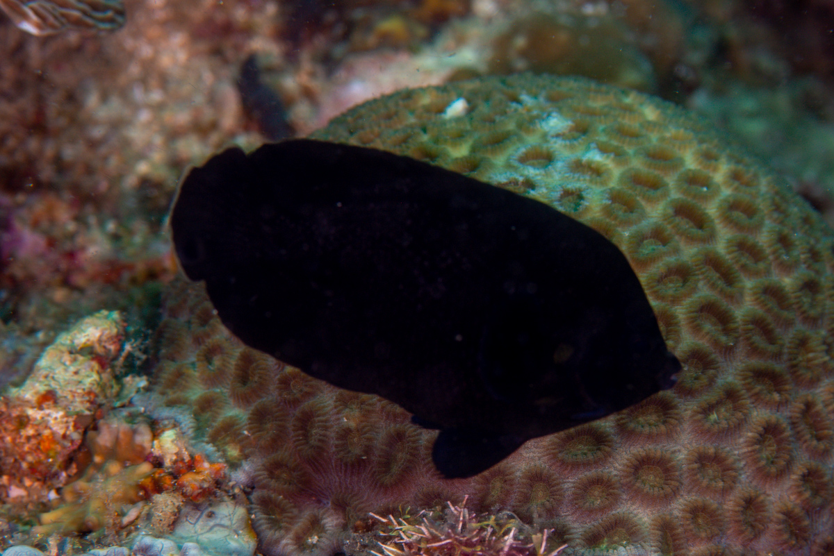 Luiz Rocha, PhD tweet media