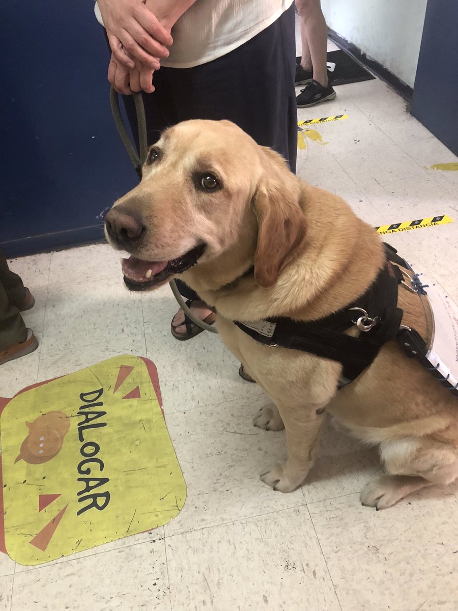 Mi apoyo tecnológico ❤️