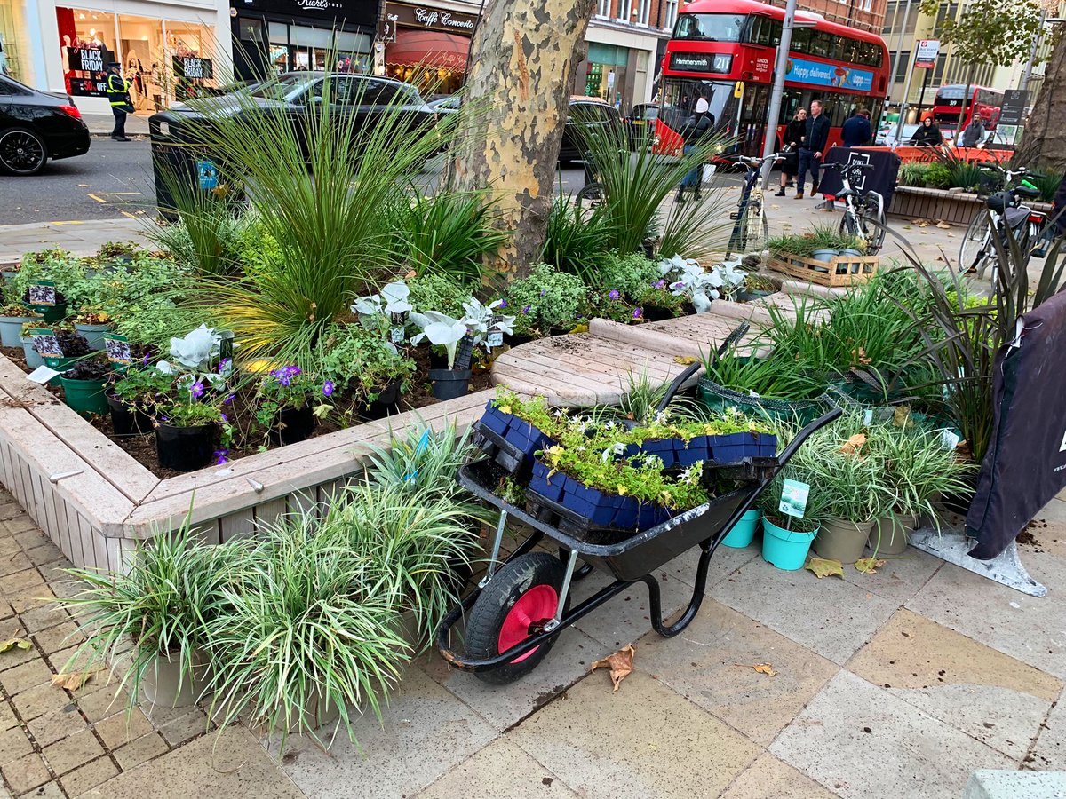 BWaftercare's tweet photo. ‘Spade in Chelsea’:
Fresh new look for Duke of York Square. Enjoyable day planting this lovely scheme by the delightful Lauren Tyler @TGFinchGardens https://t.co/CYRKKhdPhK