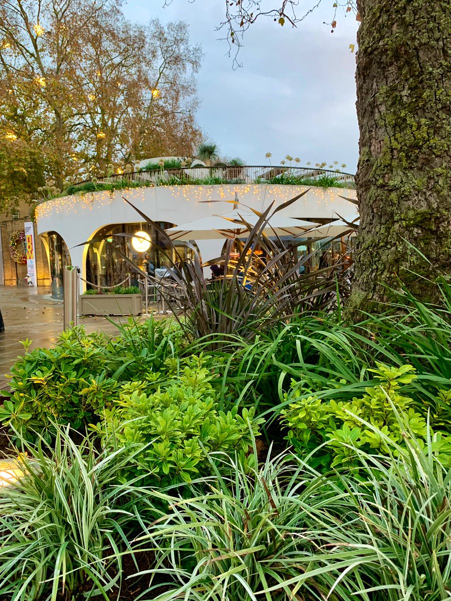 ‘Spade in Chelsea’:
Fresh new look for Duke of York Square. Enjoyable day planting this lovely scheme by the delightful Lauren Tyler <a href="/TGFinchGardens/">TylerGoldFinch // Lauren Tyler</a>