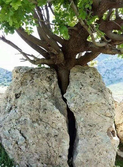 " قل للمستحيل: وداعاً ..
أنت لديك ربُ يصف نفسه بـ "فعَّال لما يريد" .. ويشد أزرك بـ " إنه على كل شيء قدير" .