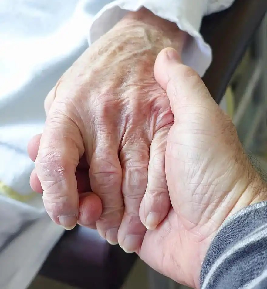 ilsevanwijk's tweet photo. Samen met zijn allen allen voor één voor iedereen en voor alles wat leeft voor elkaar en onze toekomst         hand in hand voor ons land                  zij aan zij solidair het juiste doen      met goed fatsoen en dat de komende tijd steeds overdoen #zwijgendemeerderheid https://t.co/pLukHqZj06
