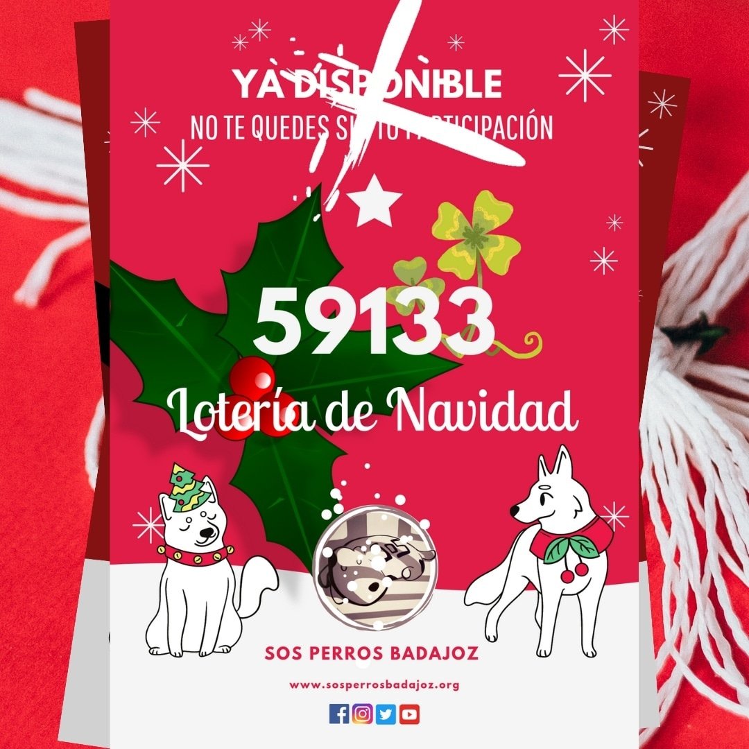 🤶🏻 Papeletas físicas agotadas... Pero aún puedes comprar tus papeletas ONLINE de manera muy fácil y segura a través del siguiente link:

playloterias.com/loteria-SOS-pe…

#loteríaNavidad #protectora #sosperrosbadajoz