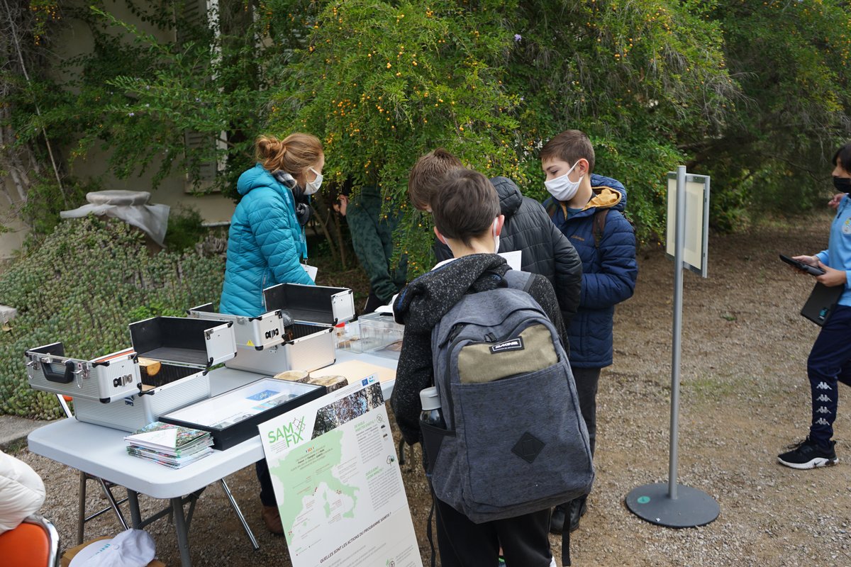 LifeSamfix's tweet image. During the Middle school day, on 23rd of November, 2021, we talked about SAMFIX Life Project at #VillaThuret with a workshop on biological invasions, with insect models, leaflets, a poster about #SAMFIX and the #Xylosandrus.

#middleschoolday #inrae @INRAE_Intl @LIFEprogramme