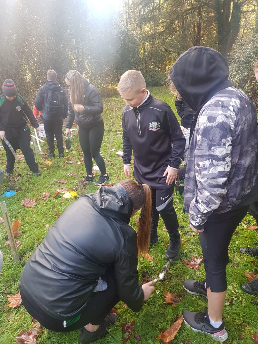 8X4 and the eco club did a fab job of planting our little woodland area with Mr Hoffland, Miss Leopard and Miss Hunter this afternoon! Bug hotels next!! #sustainability #environment #doingourbit 🌳 @MACSGeo @AndrewTaiTarian @AndrewCarey13