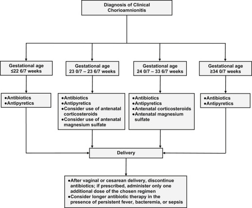 AJOG_thegray's tweet photo. AJOG Expert Review:  Management of clinical chorioamnionitis: an evidence-based approach https://t.co/xwvwRgVQE5 https://t.co/hfICDUxbe2