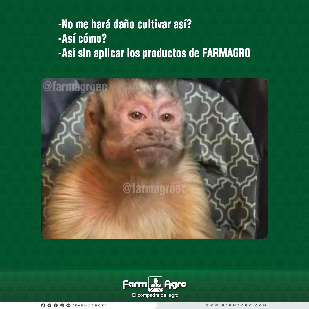 FarmagroEc's tweet photo. Recuerda que en #Farmagro contamos con Todo para #TodosSusCultivos.
Sácale el máximo rendimiento al momento de cosechar con nuestros productos que puedes adquirir en cualquiera de nuestras sucursales a nivel nacional o distribuidor autorizado.
#ElCompadreDelAgro https://t.co/saAvQF7Lez