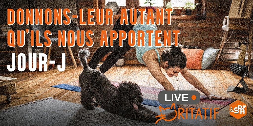 🐱 Live charitatif c’est parti ! Nos super gamers vont faire vibrer pendant 48H au profit de nos 8 000 pensionnaires encore en refuge. 

Parce qu’ils le méritent tant ! Aidez-nous à leur offrir une seconde chance. 

3-2-1 Twitchons : streamlabscharity.com/la-spa/event/d…