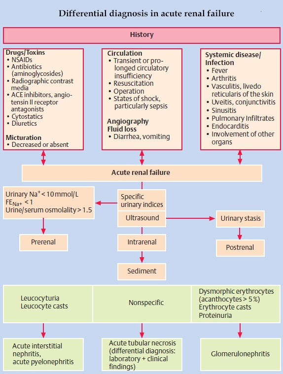Acute Renal Failure - Differential Diagnosis

#meded #foamed #medtwitter #nephrology