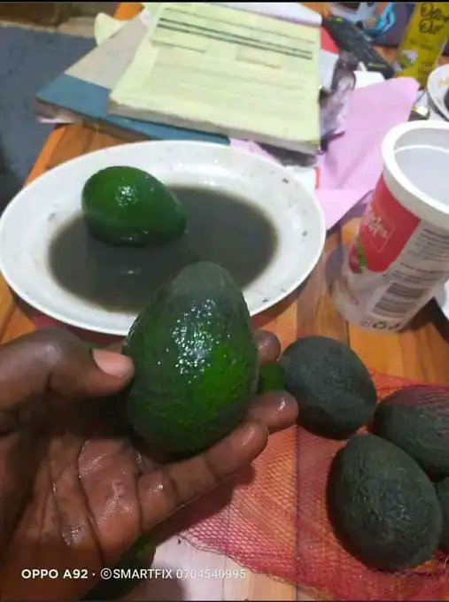 Johnmuasyaa's tweet image. Ogopa wakenya. Ovacado hajakomaa, apakwe makeup aingizwe sokoni. Uta-do?