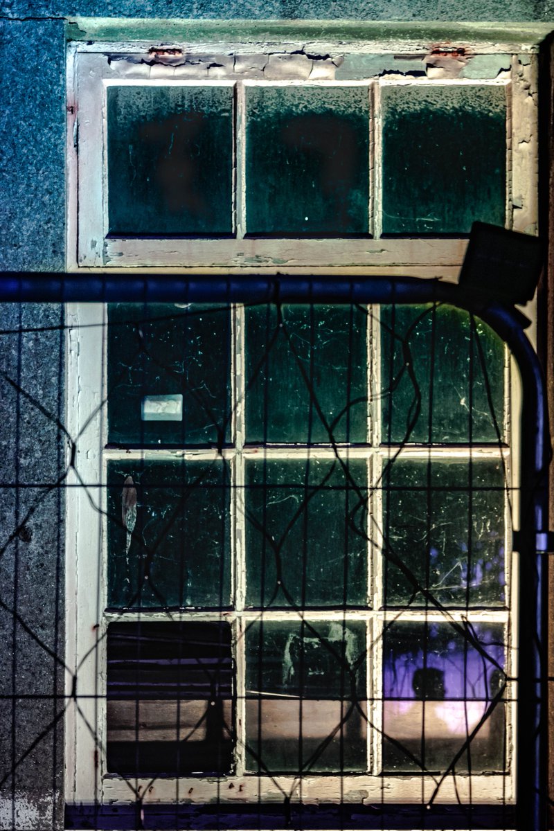 IdeasOfInterest tweet media