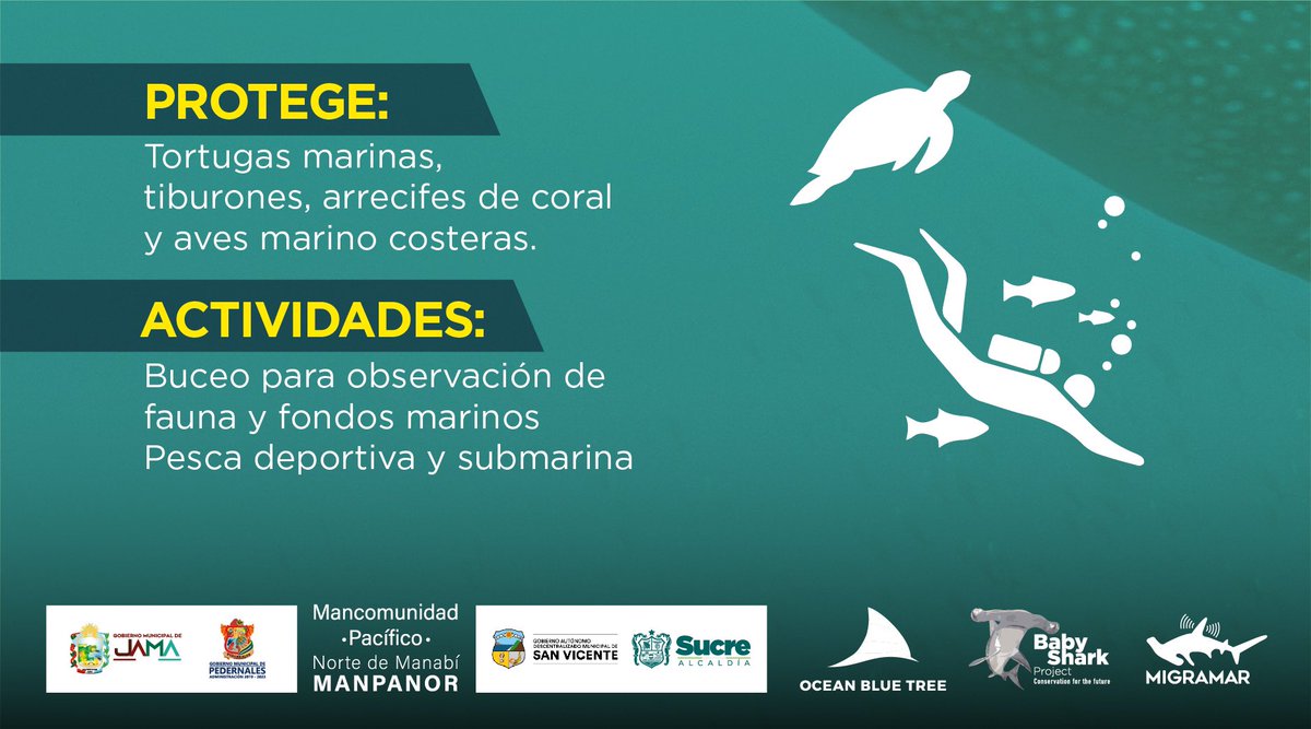 EcuadorMAE's tweet photo. ¡Buenas noticias! Ecuador cuenta con una nueva Reserva Marina: Puerto Cabuyal - Punta San Clemente, ubicada en la provincia de Manabí. El #GobiernoDelEncuentro está comprometido con la conservación. #JuntosLoLogramos https://t.co/jDkttr78A1
