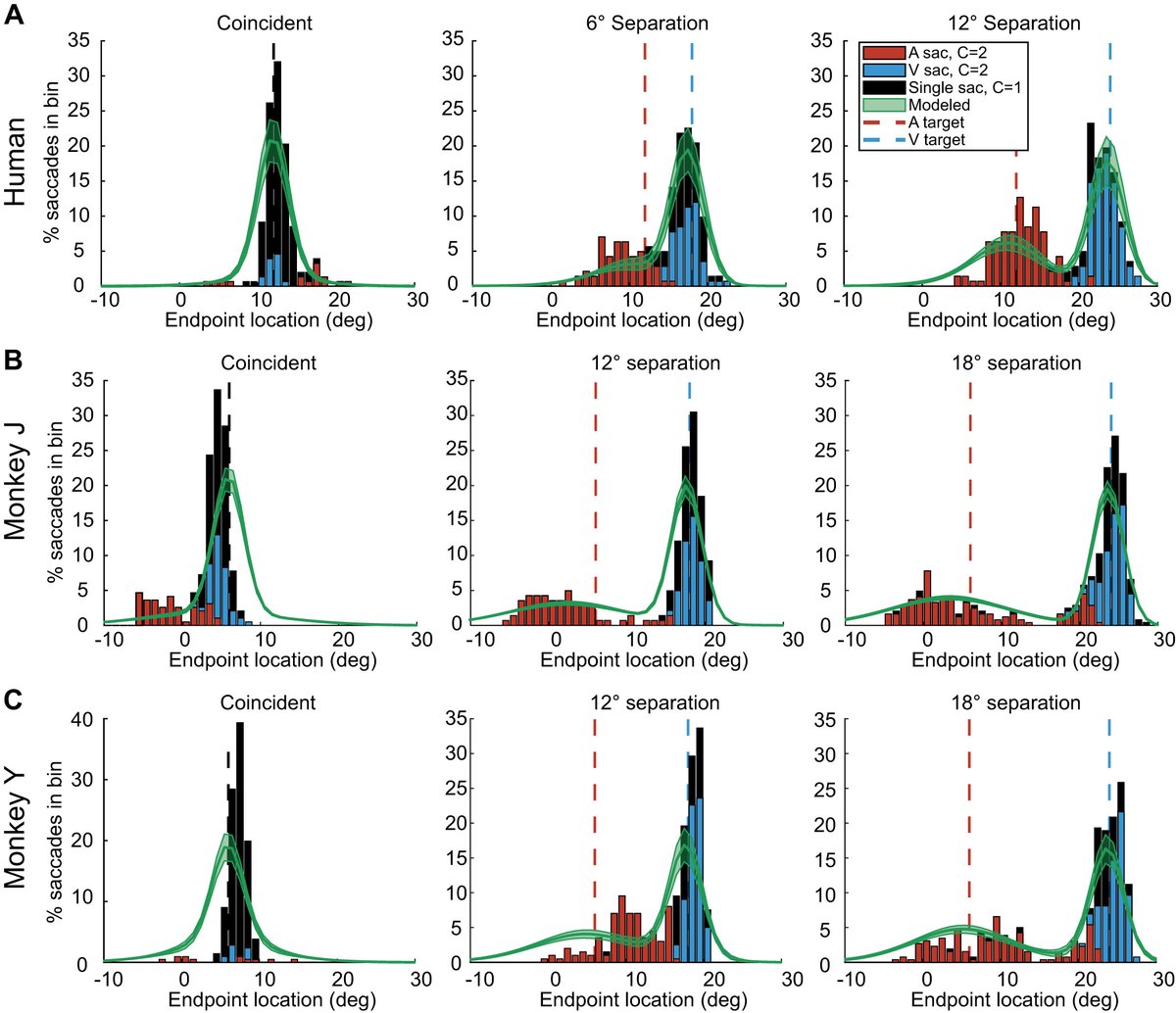 JNeurophysiol's tweet image. #Imageoftheweek - Fi g 4 - "Monkeys and humans implement causal inference to simultaneously localize auditory and visual stimuli"
Jeff T. Mohl,John M. Pearson,Jennifer M. Groh
#Causalinference #Behavioralmodeling #Neuroscience
@DukeU
ow.ly/RPkg50GEGaI