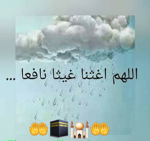 Assal__Youssef's tweet image. 