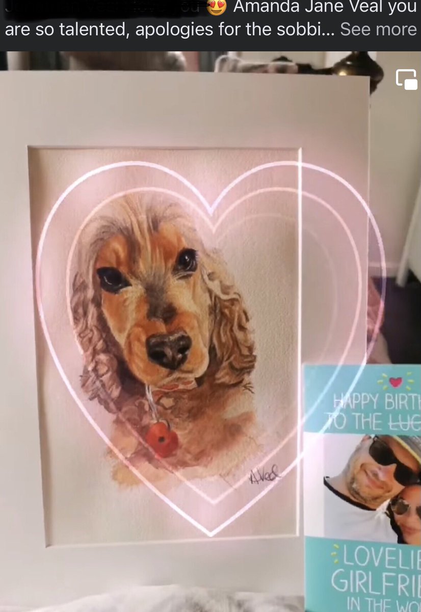 AVealPortraits's tweet photo. Been working on lots of Christmas commissions, but this special birthday one I can finally share! Check out those eyelashes! 😊 #watercolorpainting #petportraits #dog #art https://t.co/gunlsNSfsF