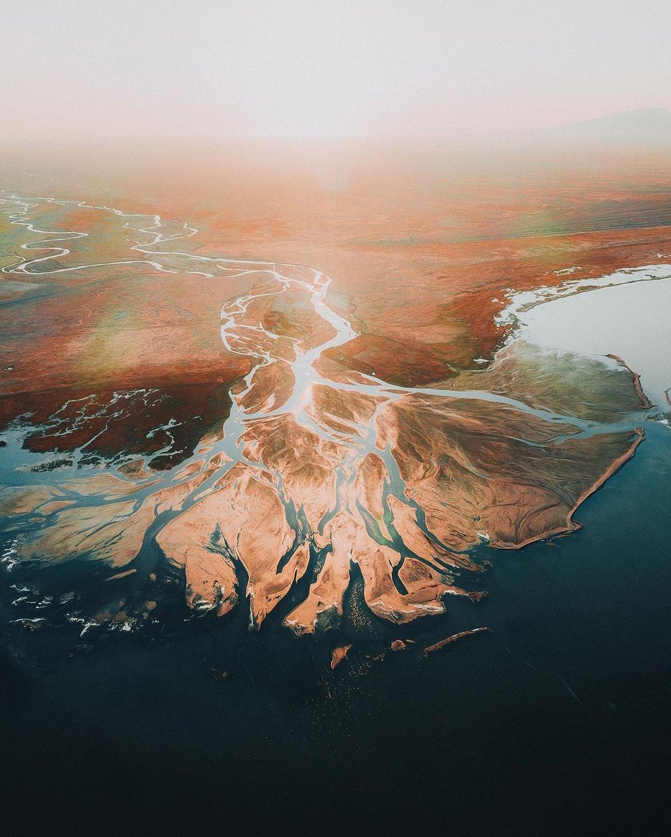 SightfulPlanet's tweet photo. The Buntsaanan Lake, a unique area in Mongolia that attracts thousands of bird, horses and camels ✨ https://t.co/i5V7vwRP9p