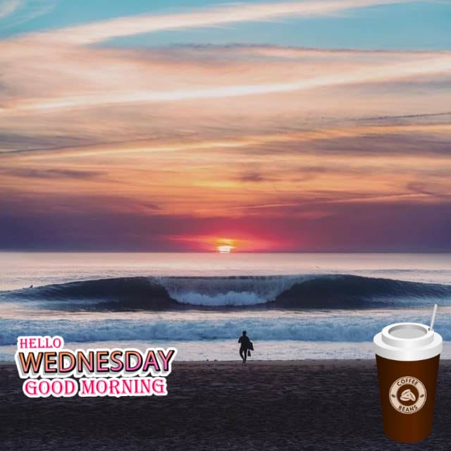 Assal__Youssef's tweet image. 