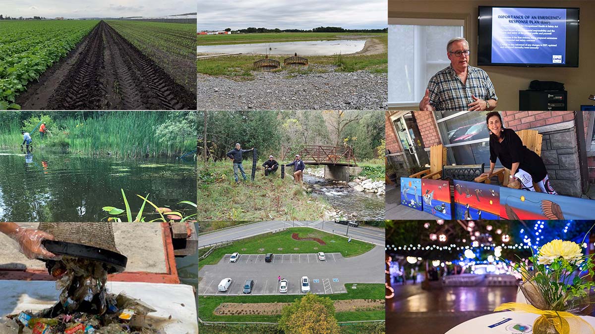 LSRCA's tweet photo. Congratulations to all our ✨Healthy Water Award 🏆 recipients! They are true #WatershedHeroes & for this we say thank you!
To find out more visit https://t.co/6uIvVv5Om3
#Consies #SavingLakeSimcoe https://t.co/wkDjHDwtUA