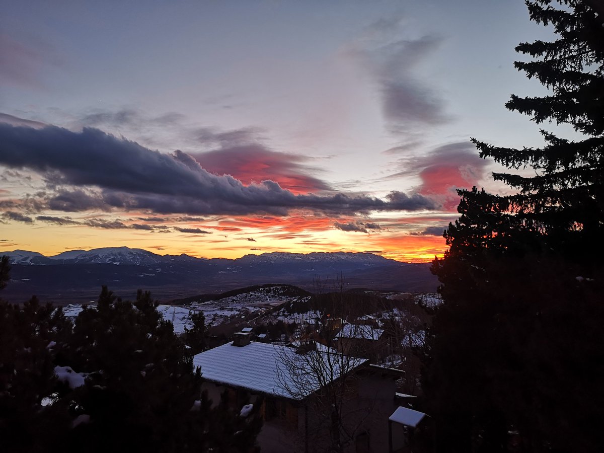 Vincent Thomas tweet media