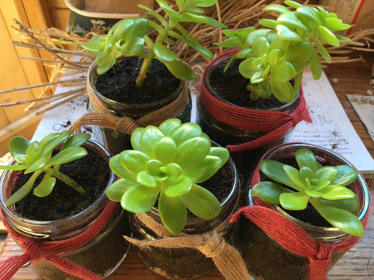 Feeling chilly?? 🥶 how about a hot water bottle &amp; wine cosy to warm you, both upcycled from an old jumper! Tin candles, plants, vintage laundry bags &amp; cushions all on my stall tomorrow <a href="/GtownWM/">Gtown World Market #LoveGrangetown</a> 10-2 ⭐️ #Grangetown 

Happy #GreenFriday all 💚

@Grange_Pavilion <a href="/grangecardiff/">Grangetown community</a>