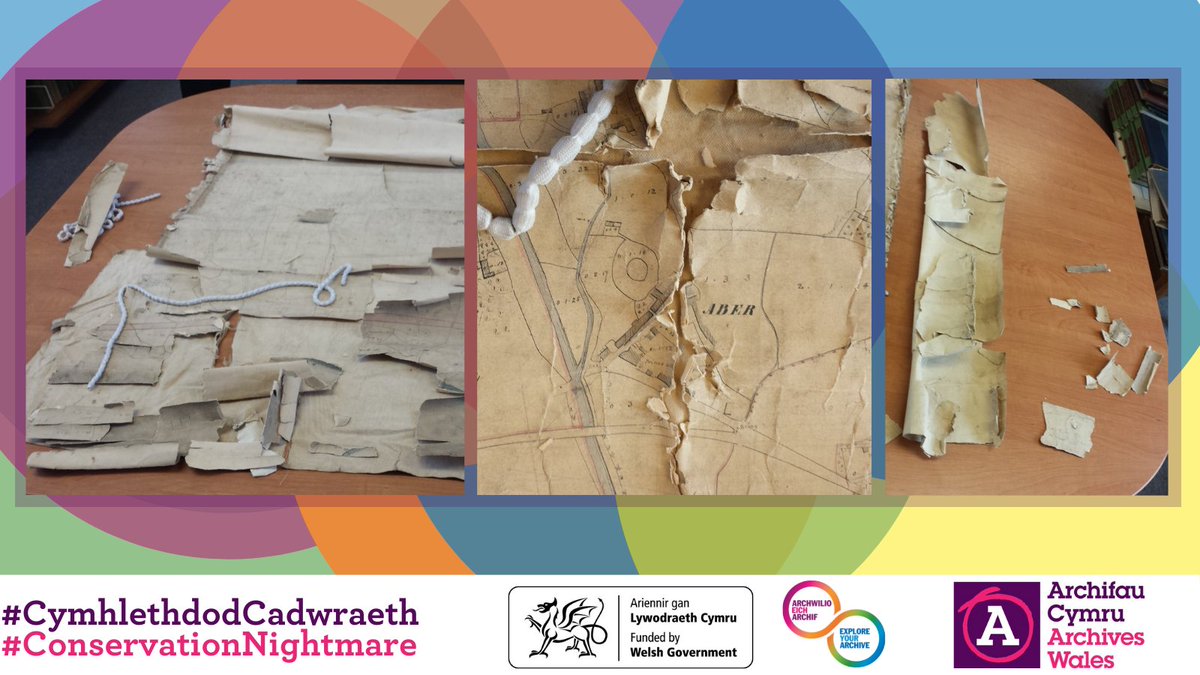 ArchivesWales's tweet photo. Our next example of a #ConservationNightmare is this map 🗺️ of Penrhyn that was miraculously repaired is once again accessible to the public at @BangorUniLib! 🤓 #ExploreYourArchive @explorearchives https://t.co/U48OcVPhHc