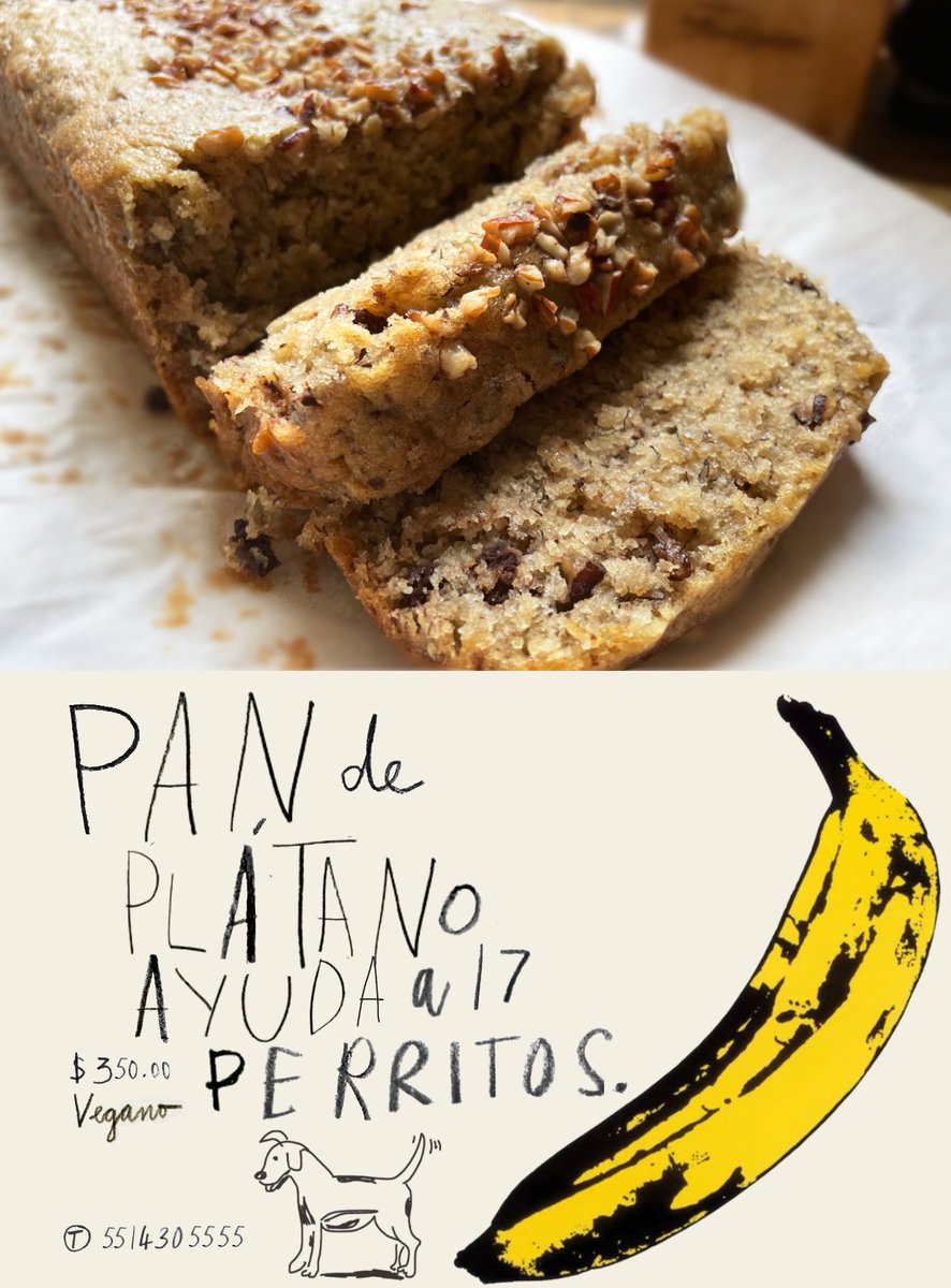 mntoinett's tweet photo. ¡Hola! sigo con la venta de pan de plátano,nueces y cacao nibs🍌para recaudar fondos y seguir pagando la pensión de 17 perritos rescatados, súper rico se los prometo, además contribuyen a una linda causa❤🐶 dándole una oportunidad a c/u de esos perritos ¡GRACIAS!*a domicilio🚗 https://t.co/WgtulrXdm1