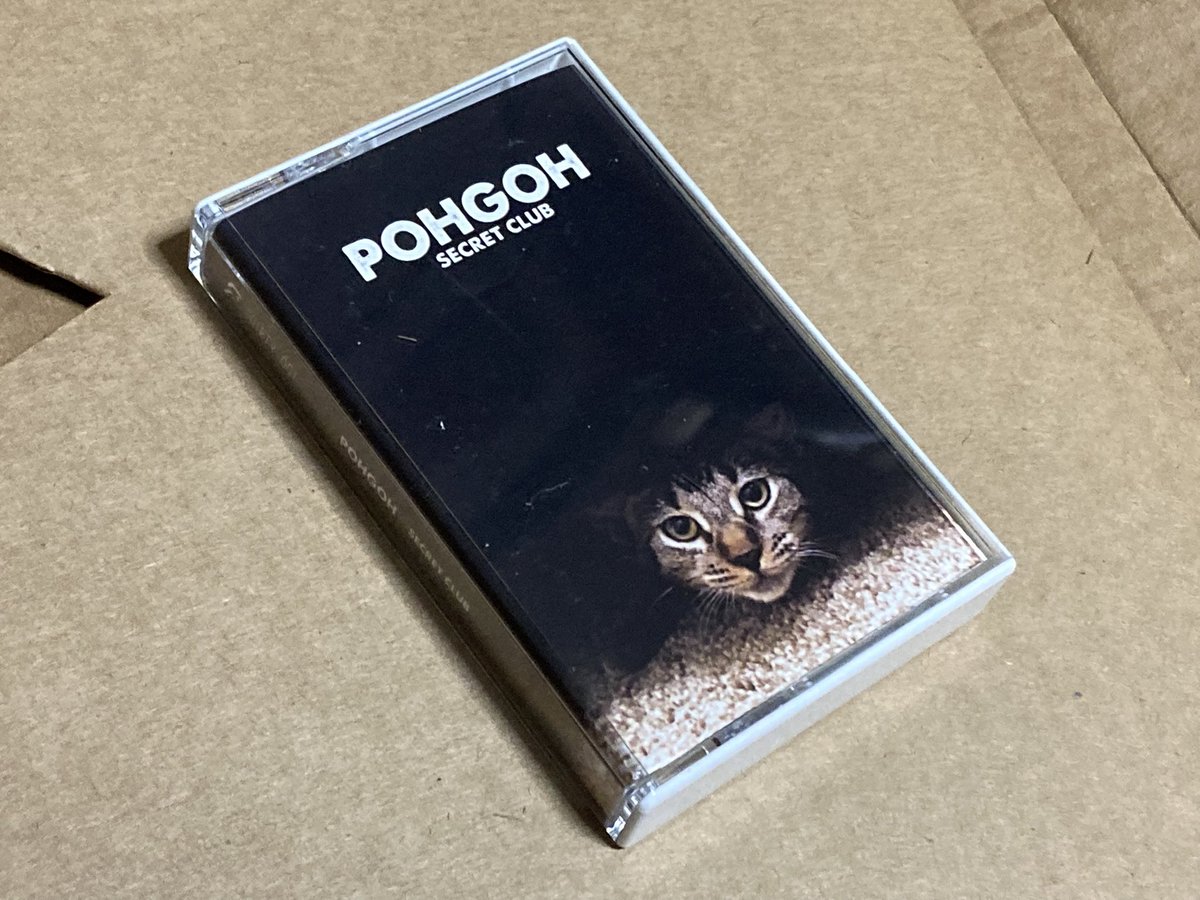 ノゾム(yk) (@ykbass0611) on Twitter photo thirtysomethingrecords (<a href="/thrtysmthngrec/">Thirty Something Records</a>)より The Appleseed CastのLost Songs届きました🥷⤴︎
ディープブルーなジャケ&盤も美しい…久々の海外通販まぁええか到着で安堵感もハンパないですね。安くなっていたのでpohgohのカセットも抱き合わせで🐈⤴︎ thirtysomethingrecords (<a href="/thrtysmthngrec/">Thirty Something Records</a>)より The Appleseed CastのLost Songs届きました🥷⤴︎
ディープブルーなジャケ&盤も美しい…久々の海外通販まぁええか到着で安堵感もハンパないですね。安くなっていたのでpohgohのカセットも抱き合わせで🐈⤴︎