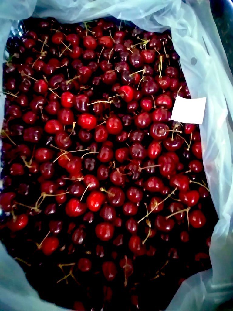 Fedemuu_'s tweet photo. Cerezas de calidad y al mejor precio en #Mercado_Concentrador_Chubut https://t.co/dclZGs2U6K