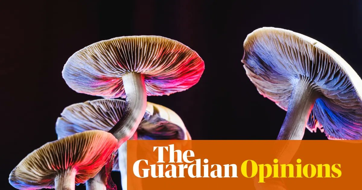 The purpose of Modern Meditation is ultimately to reconnect again to reality. The result is waking up to the joy of life as it is, bringing enormous wellbeing and creative benefits. 

Or you could eat some fungi. We're excited about this...

buff.ly/3FMG1NC