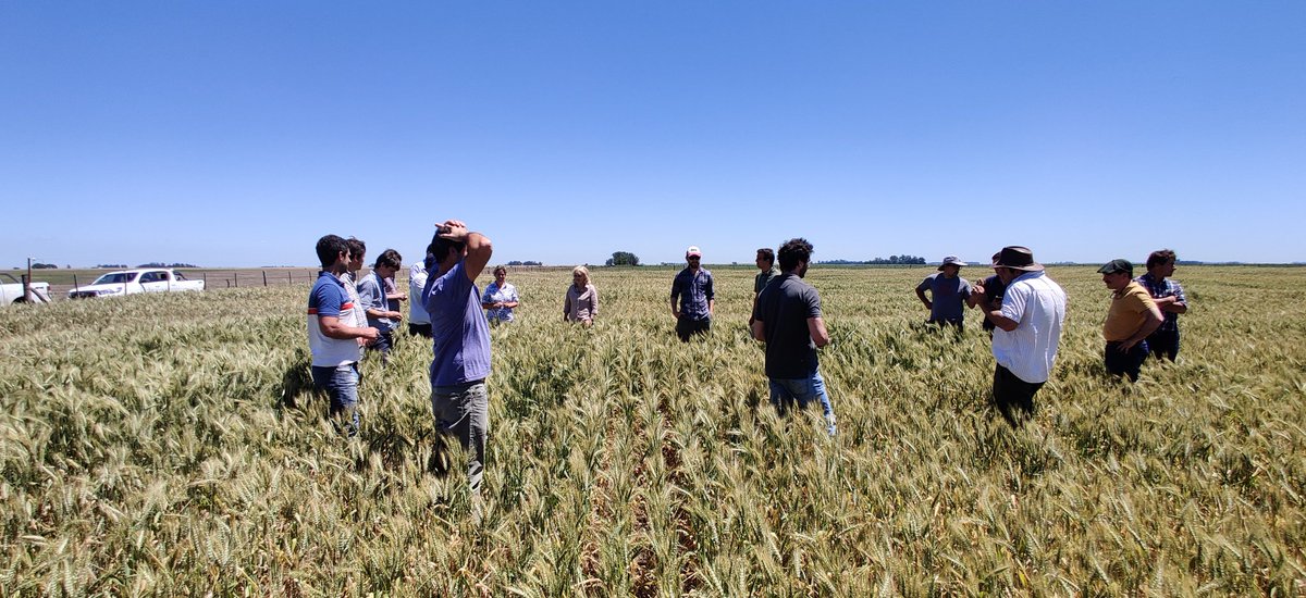 Visita de la mesa de asesores CREA Sudoeste y Oeste arenoso al CREA Lamadrid