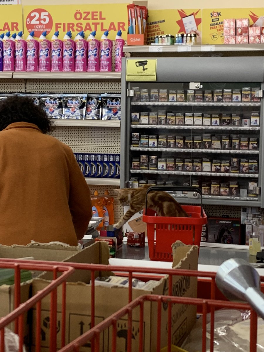 Markette böyle bir şey var