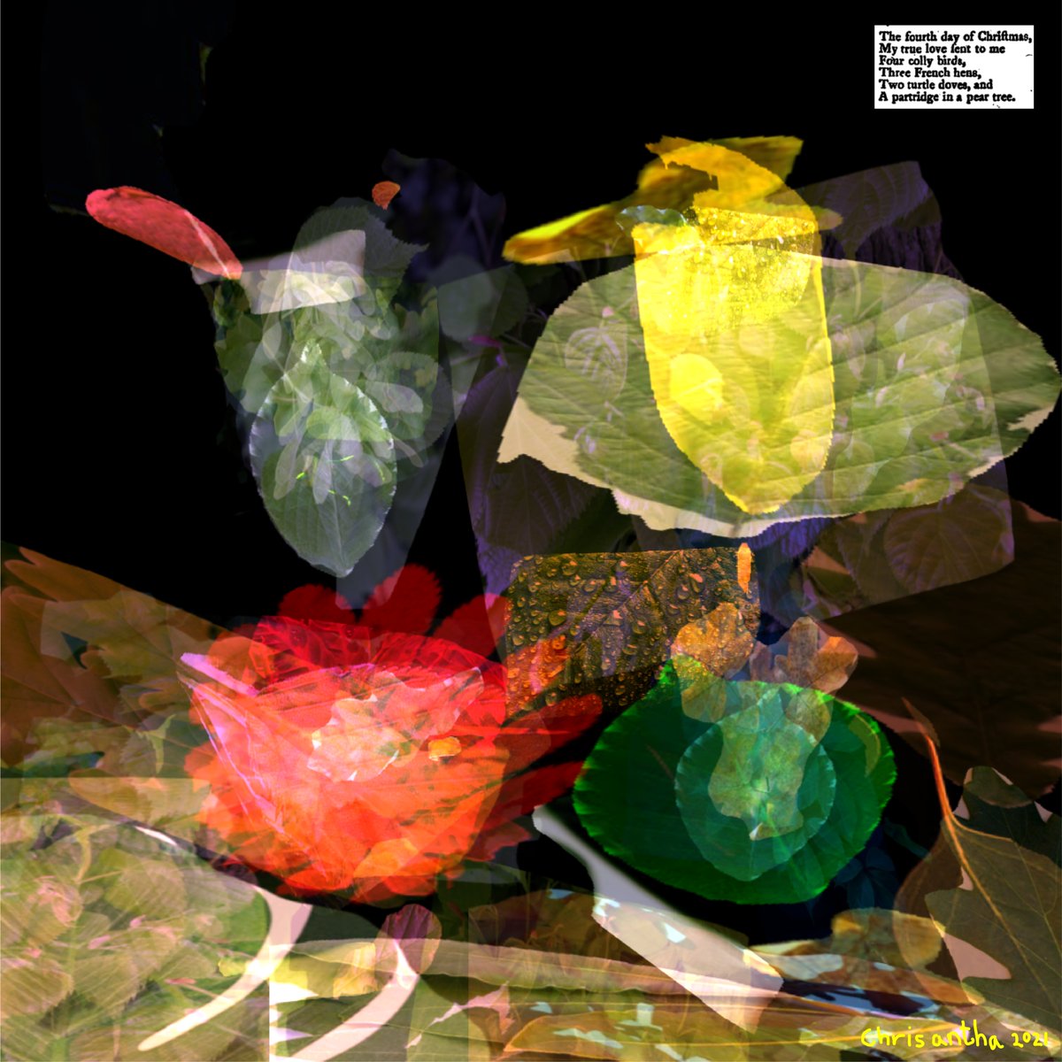 chrisantha_f's tweet photo. #clip #generativeart #aiart #notagan #neveragan #12DaysOfChristmas #gan The 12 Days of Christmas (Day 4) https://t.co/gdeLoaQxJY