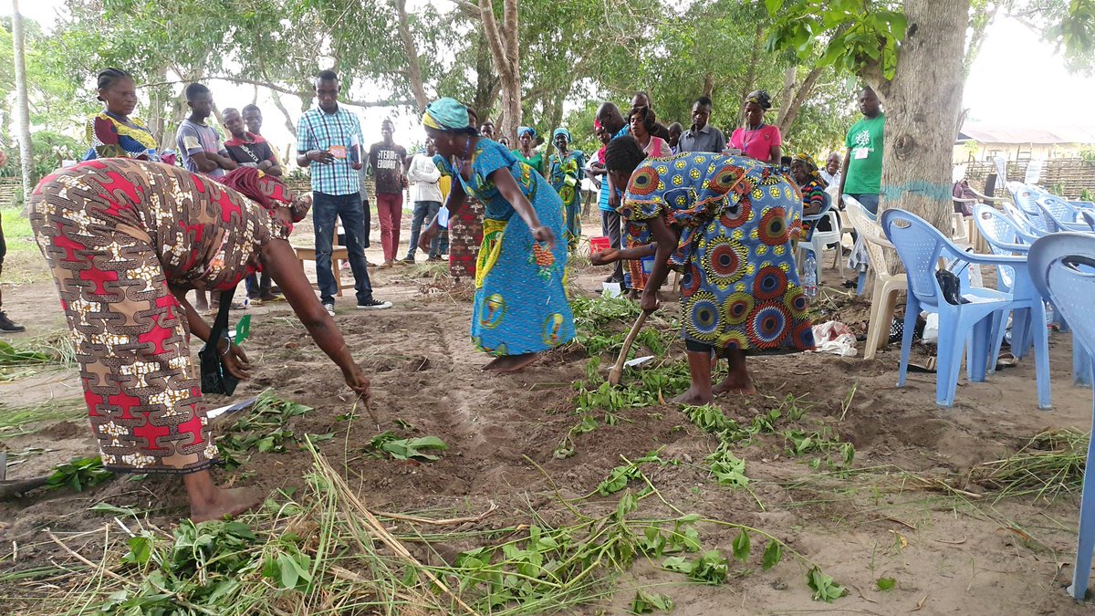 ouspouye's tweet photo. Les unions paysannes du Kwilu (RDC) partagent les résultats de la recherche action sur les techniques de fertilisation des sols. 
#RDC 
#Broederlijkdelen
#Agroecologie https://t.co/guwAlwvHMk