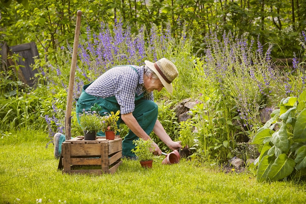 FoundationYears's tweet photo. 🧑🌾 As part of the Early Years SEND Partnership Project, @nasen_org will be holding a virtual seminar titled 'The Constant Gardener' on 1 March 2022.
Find out more about the seminar and book your place here: https://t.co/bx76qTvorH
#EYmatters #EYSEND https://t.co/1bVKXWpOTS