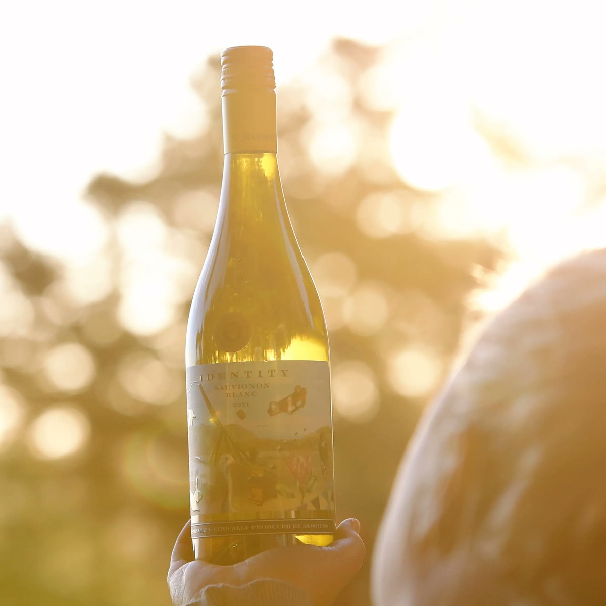 Identity Wines tweet media