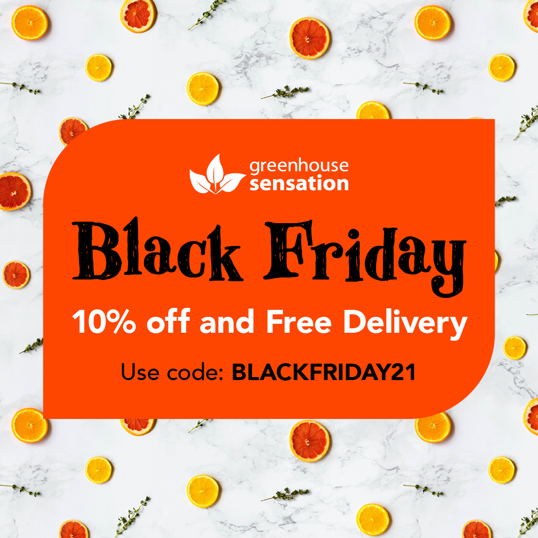 Black Friday is here!
Get 10% off your order and FREE shipping. Simply use the code: BLACKFRIDAY21 at checkout. 

#blackfriday #blackfridaydeals #blackfridayshopping #gardening