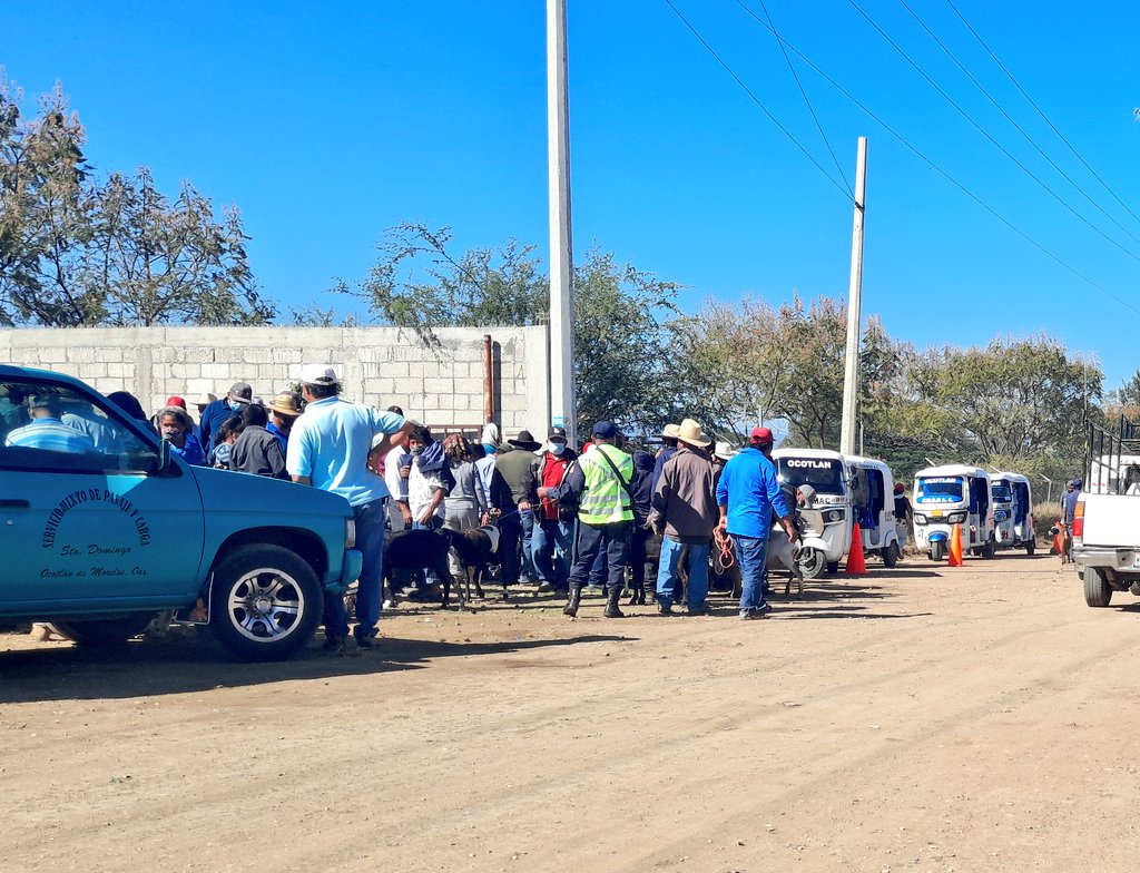 POLICIA_OCOTLAN's tweet photo. @POLICIA_OCOTLAN garantiza  una mejor movilidad  vial en el baratillo de chivos de Ocotlán de Morelos Oaxaca.
@GobMpal_Ocotlan 
@GobOax 
@SSP_GobOax 
@SESESP_GobOax 
@PolVial_GobOax
@polux100
@SIDISSP_GobOax
@DiscipuloMD https://t.co/B46X3DksDk