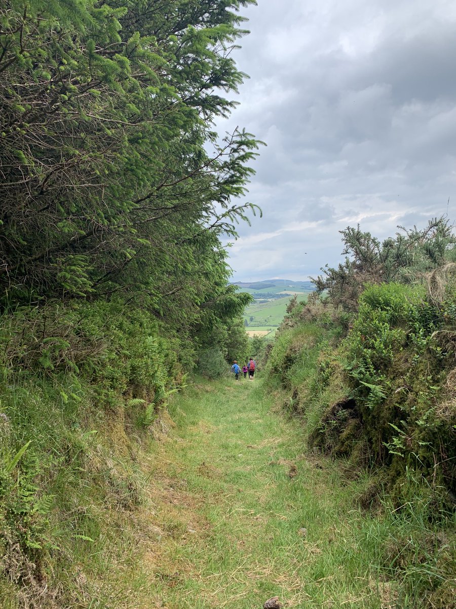 Rosway Walking Club tweet media