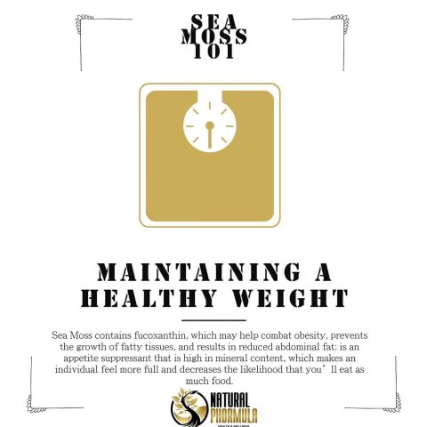 NaturalPhormula's tweet photo. Let’s fight back against that hefty Thanksgiving dinner shall we? 😉

https://t.co/CoLVdVKjvp 🙏🏽🖤💛 https://t.co/1JCpHn2RRK