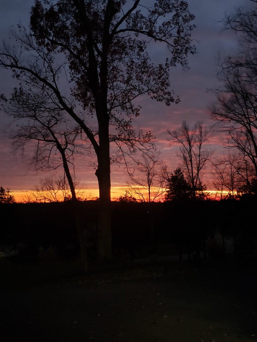 marciaelder1's tweet photo. Stunning - this evening! #LaGrangeKY #OldhamCountyKY #Kentucky #NaturePhotography https://t.co/53xtQD4DiB