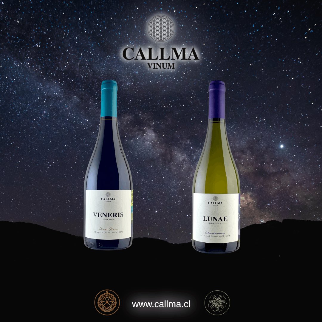 CallmaVinum's tweet photo. https://t.co/8VESDIfP7n #chileanwine #vinosconpersonalidad #viñaterosindependientes #vino #pequeñasproducciones #winelover #callmavinum #wineofchile #movichile_br #MOVILaTienda #lacavadelsommelier #bacovinobistro #movichile #restaurantedoncarlos #wine_promotion_ https://t.co/Oe0OuQdAwo