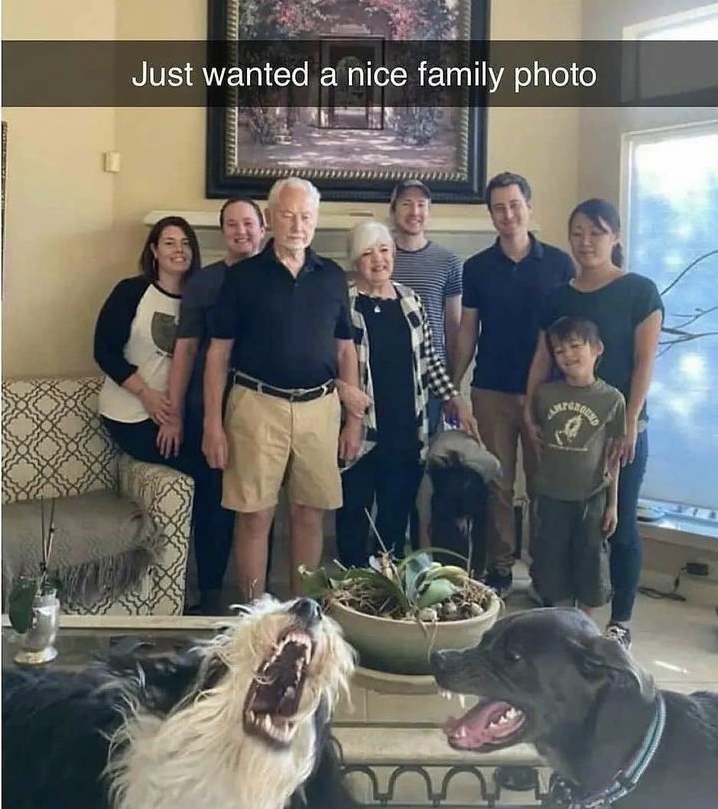 WholesomeMemes tweet media