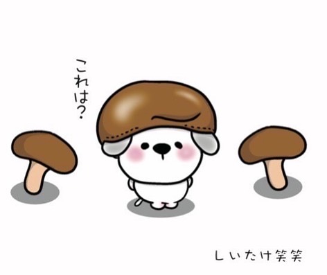 ゆるふわイラストのtwitterイラスト検索結果 古い順