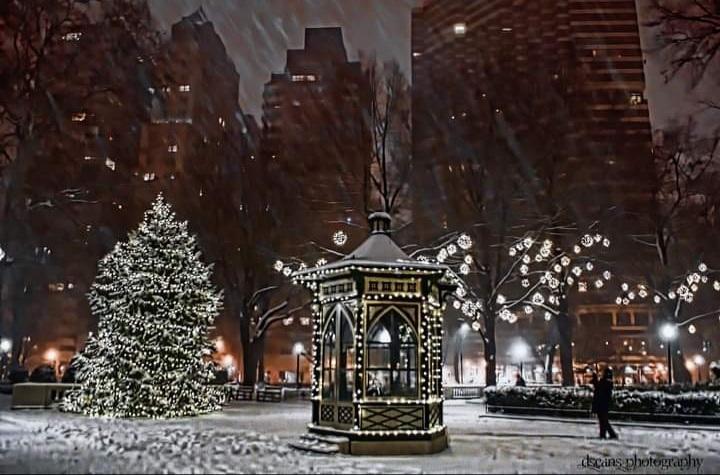 Tis the Season <a href="/RittenhouseRow/">Rittenhouse Row</a>  <a href="/TreePhilly/">Tree Philly 🌲</a> <a href="/6abc/">Action News on 6abc</a> <a href="/phillymag/">Philly Mag</a> <a href="/FOX29philly/">FOX 29</a> #Philly #xmastree #snowstorm #photography #phillyafterdark #rittenhousesquare #bestofphilly #trending #xmastreelightupphilly