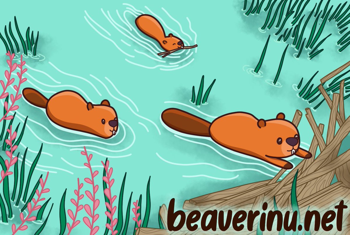 BeaverInu tweet media