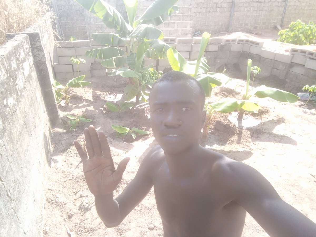 DannySecret2's tweet image. Me in the garden 💚